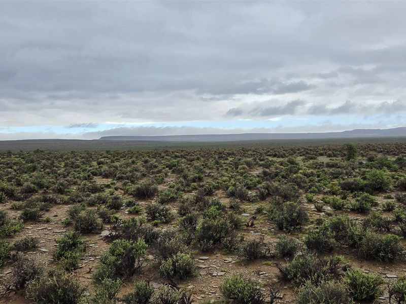 FRASERBURG SHEEP/GAME FARM WITH TOURISM POTENTIAL - Photo 2