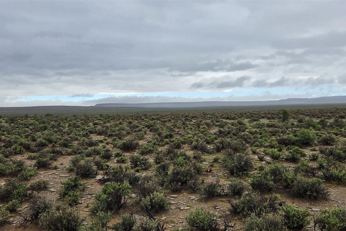 FRASERBURG SHEEP/GAME FARM WITH TOURISM POTENTIAL - Photo 2