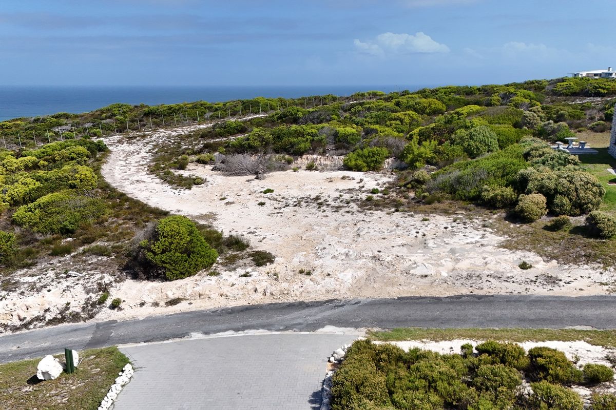 Two Oceans. One Rare Stand. Agulhas Nature Reserve - Photo 4