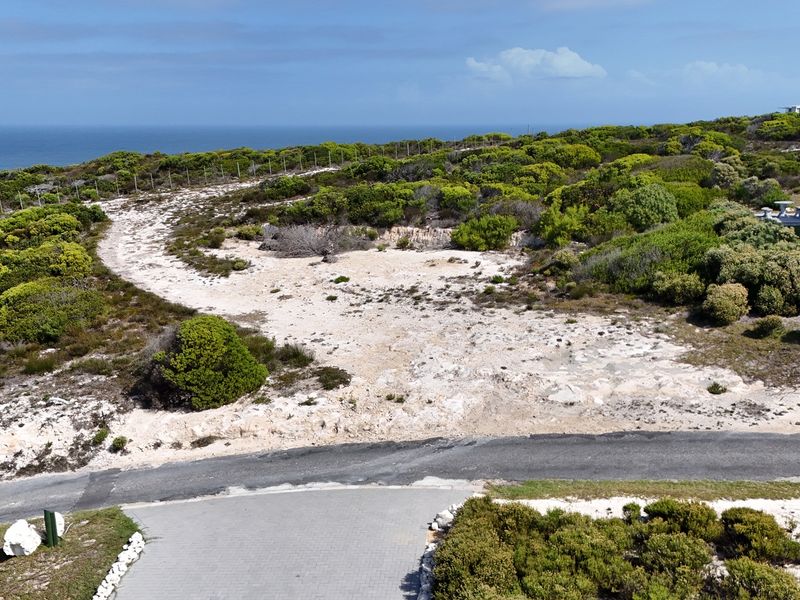 Two Oceans. One Rare Stand. Agulhas Nature Reserve - Photo 4