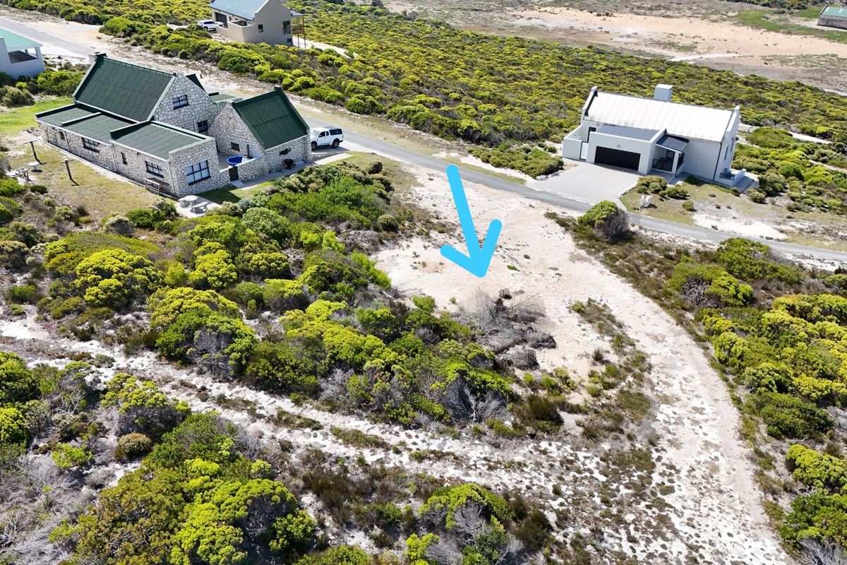 Two Oceans. One Rare Stand. Agulhas Nature Reserve - Photo 5