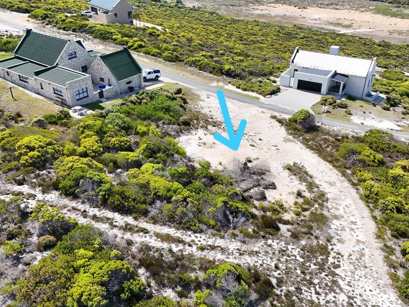 Two Oceans. One Rare Stand. Agulhas Nature Reserve - Photo 5