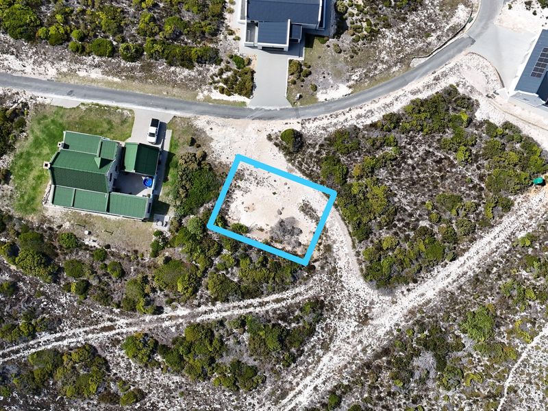 Two Oceans. One Rare Stand. Agulhas Nature Reserve - Photo 10