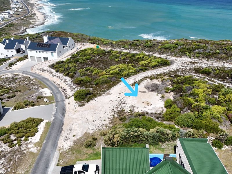 Two Oceans. One Rare Stand. Agulhas Nature Reserve - Photo 7