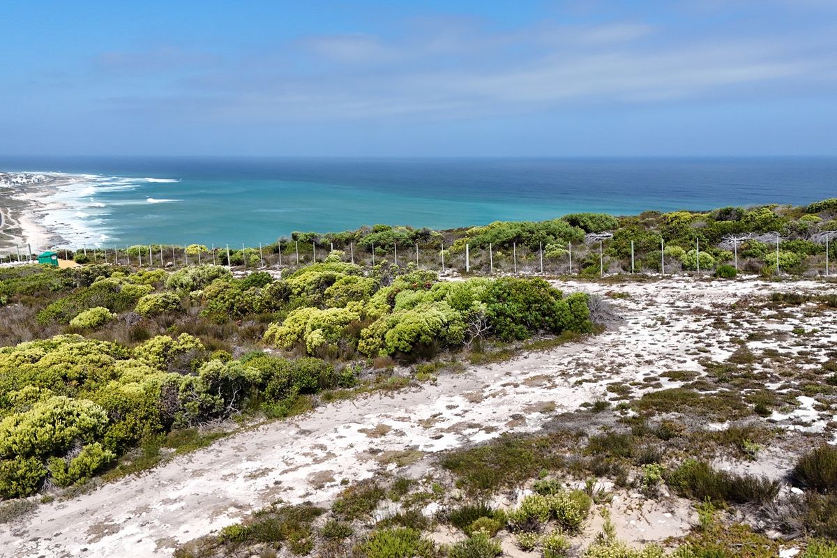 Two Oceans. One Rare Stand. Agulhas Nature Reserve - Photo 2