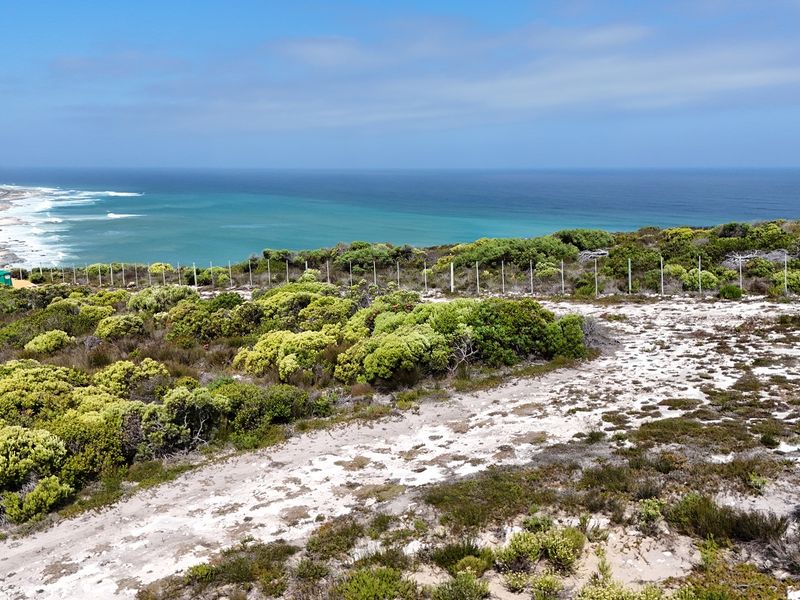Two Oceans. One Rare Stand. Agulhas Nature Reserve - Photo 2