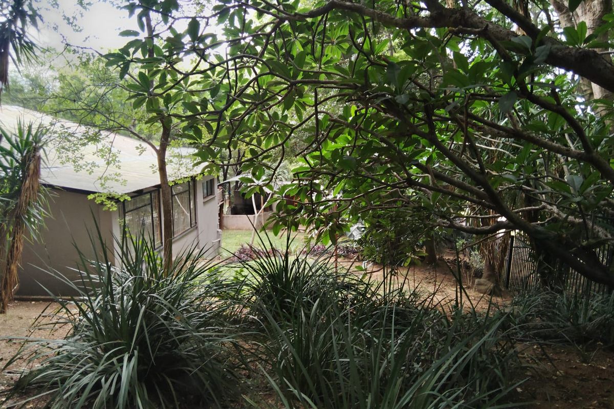 Beautifully Private Home with Stunning Views - Photo 5