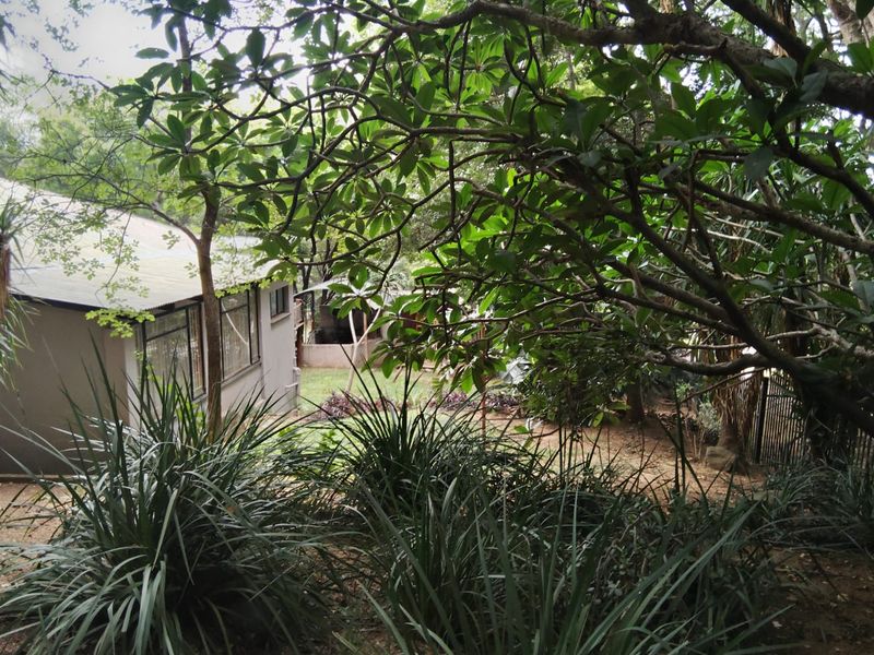 A view of the property's rear garden area featuring mature trees, established landscaping, and perimeter fencing.