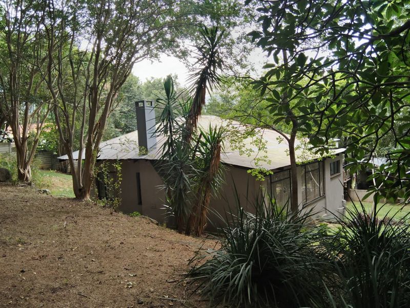 A view of the rear elevation of the house featuring a corrugated metal roof, external chimney, and surrounding mature garden trees.