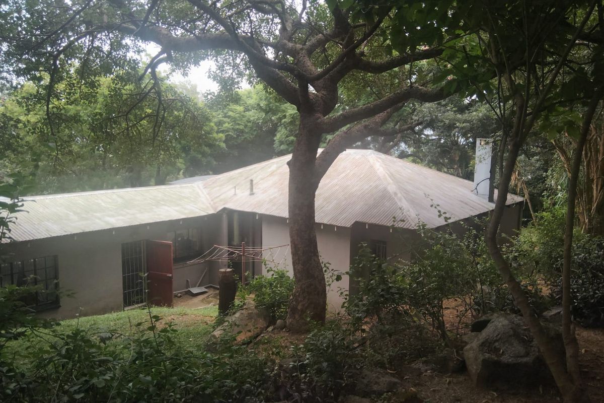 Rear view of a single-story house featuring a corrugated metal roof, chimney, and security-gated access, set within a mature, wooded garden environment.
