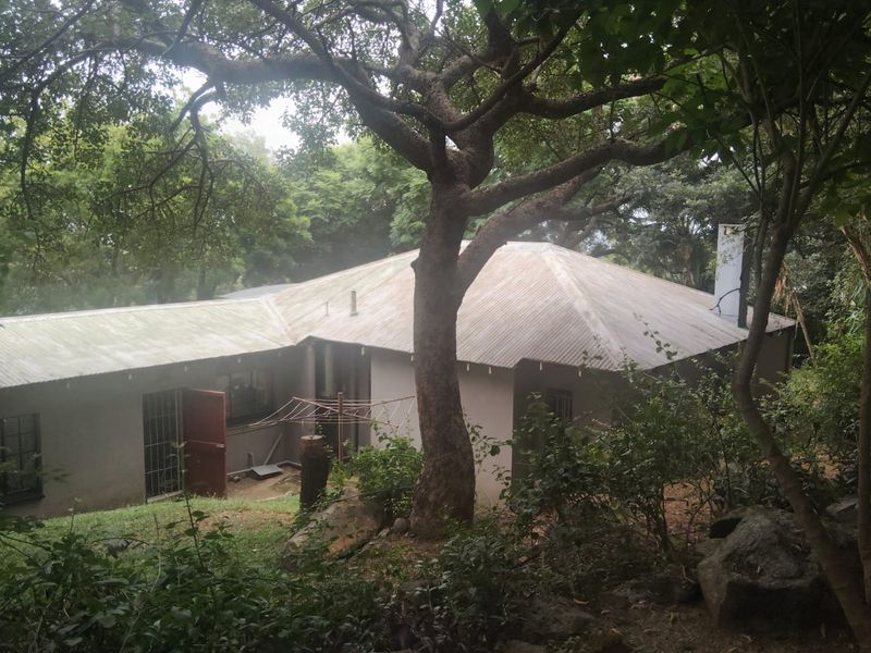 Rear view of a single-story house featuring a corrugated metal roof, chimney, and security-gated access, set within a mature, wooded garden environment.