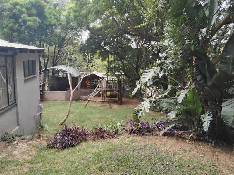 A spacious backyard garden featuring mature trees, a lawn area, and a built-in outdoor braai structure.