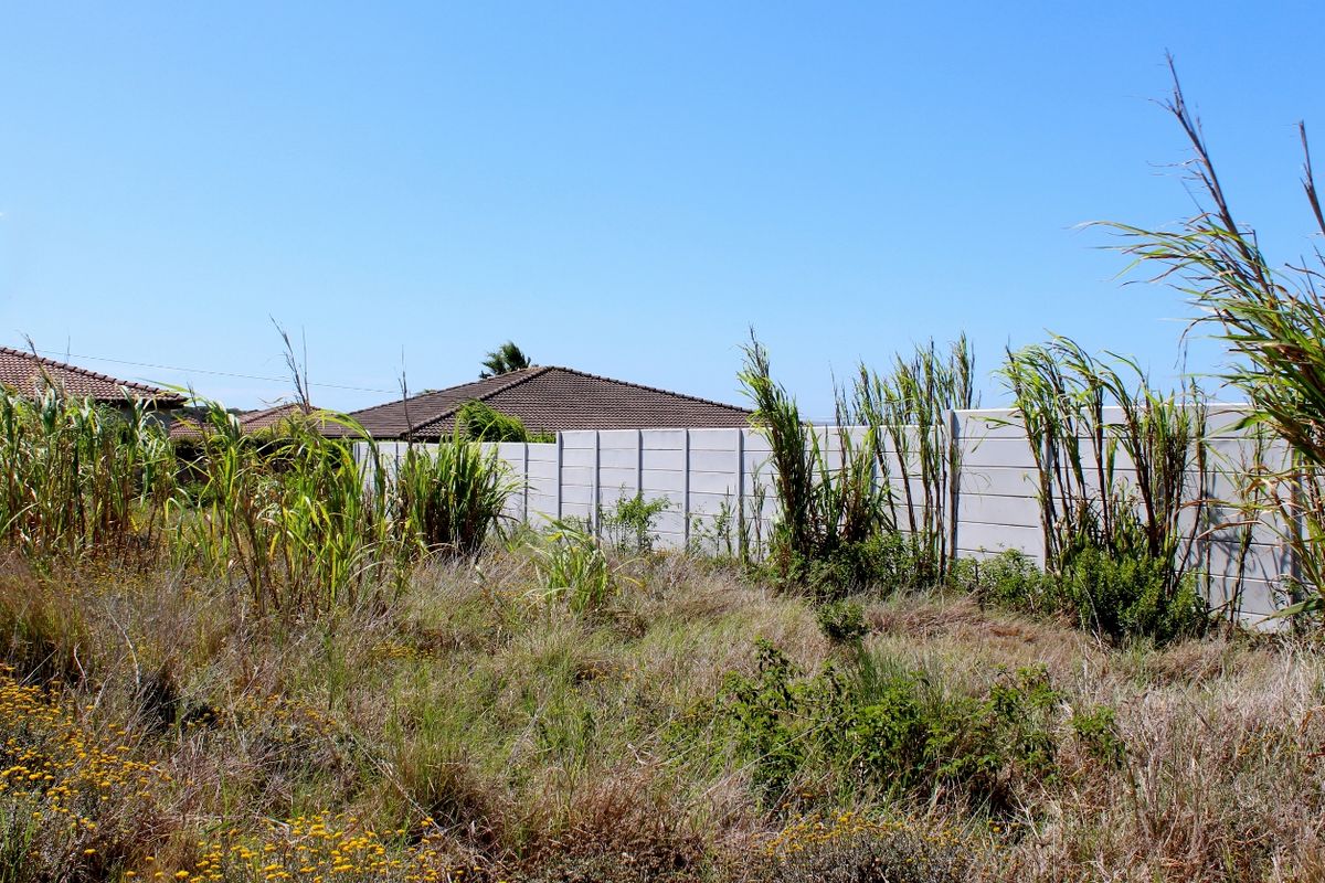 Walled on Three Sides and Ready to Build in Port Alfred - Photo 4