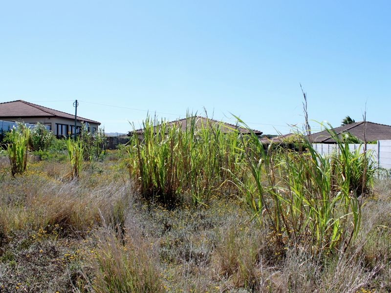 Walled on Three Sides and Ready to Build in Port Alfred - Photo 10