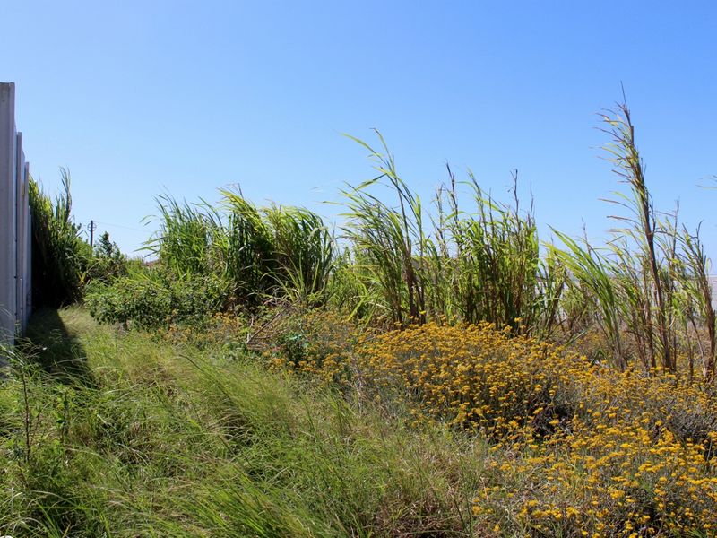 Walled on Three Sides and Ready to Build in Port Alfred - Photo 9