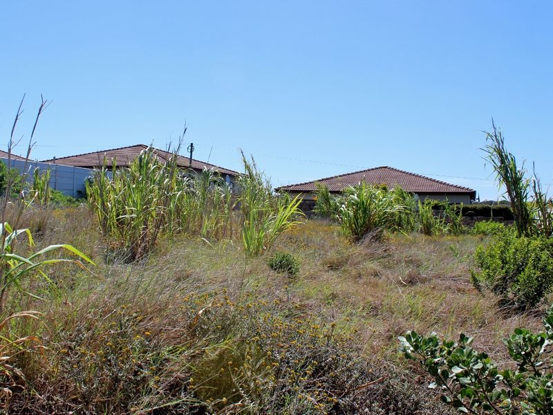 Walled on Three Sides and Ready to Build in Port Alfred - Photo 8