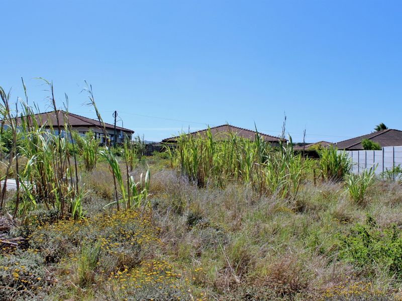 Walled on Three Sides and Ready to Build in Port Alfred - Photo 7