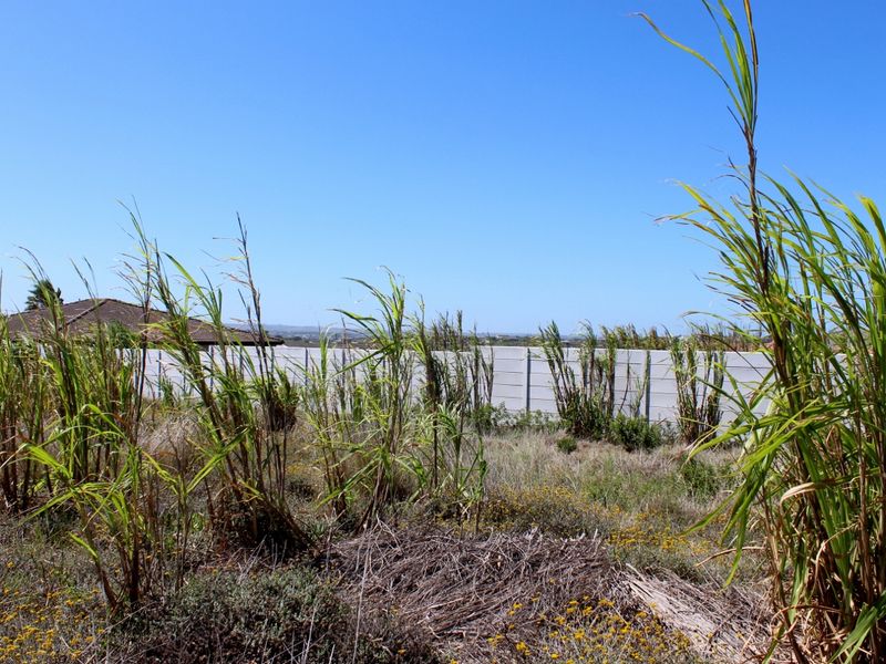 Walled on Three Sides and Ready to Build in Port Alfred - Photo 6