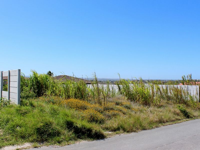 Walled on Three Sides and Ready to Build in Port Alfred - Photo 2