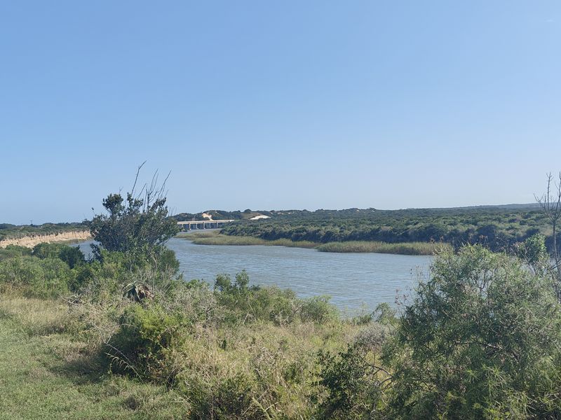 Discover Your Dream Retreat: Vacant Land for Sale in Colchester - Photo 3