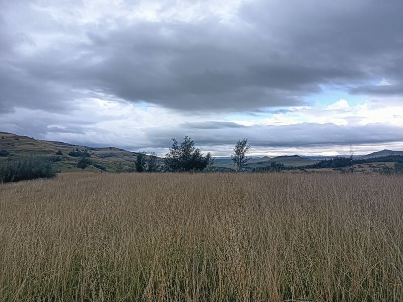 Scenic Otto du Plessis Pass Grassland Farm - Photo 9