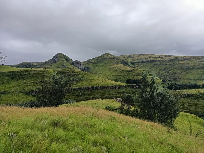 Scenic Otto du Plessis Pass Grassland Farm - Photo 10
