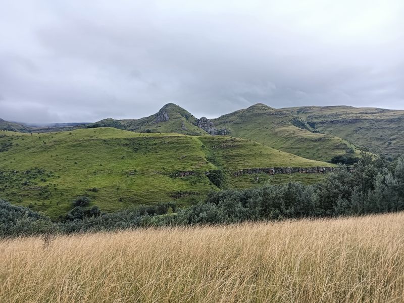 Scenic Otto du Plessis Pass Grassland Farm - Photo 7