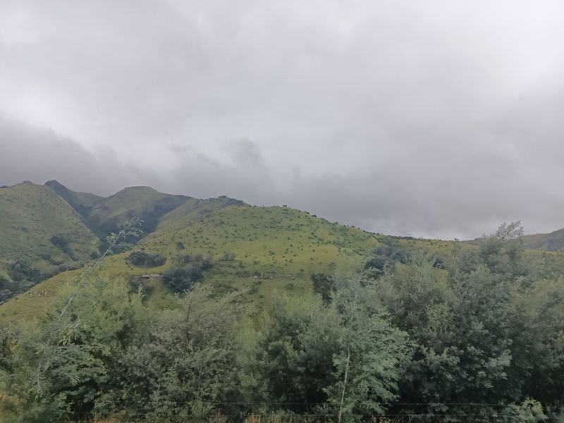 Scenic Otto du Plessis Pass Grassland Farm - Photo 6