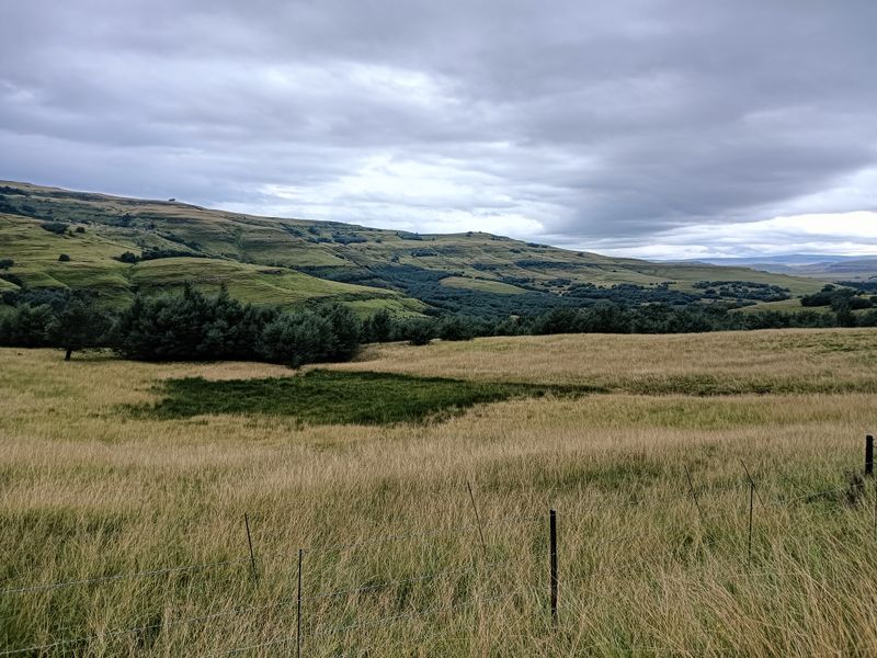 Scenic Otto du Plessis Pass Grassland Farm - Photo 2
