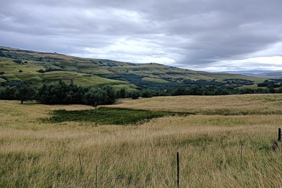Scenic Otto du Plessis Pass Grassland Farm - Photo 2