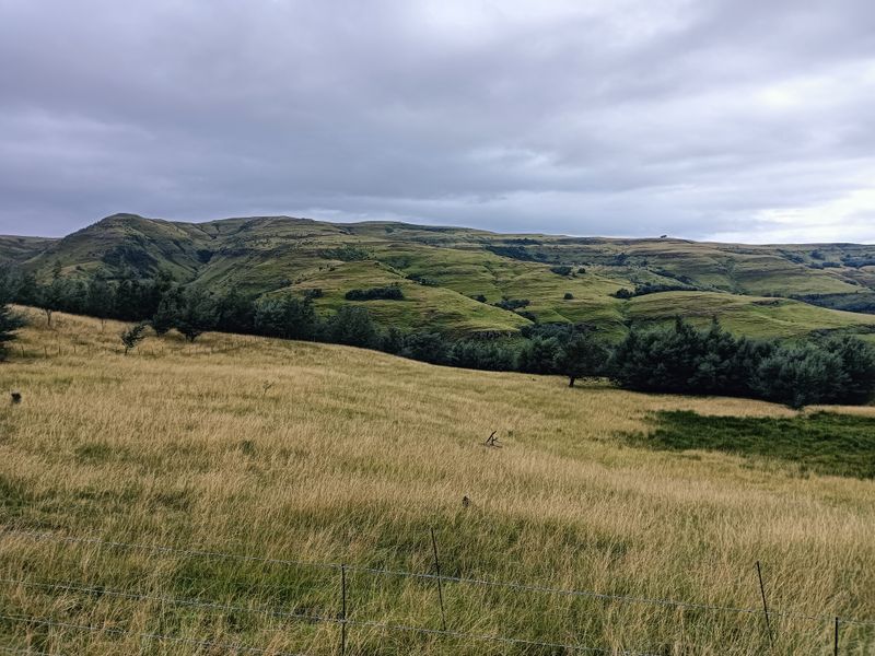 Scenic Otto du Plessis Pass Grassland Farm - Photo 4