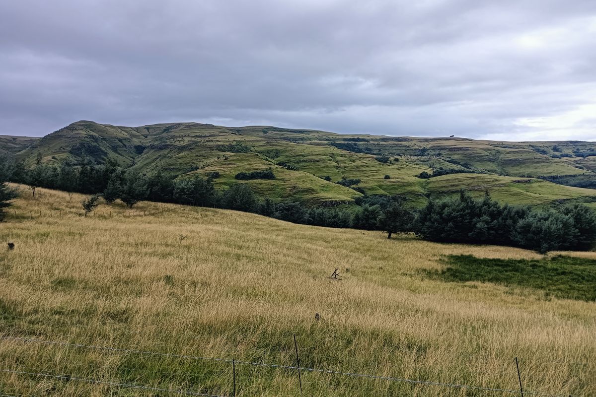 Scenic Otto du Plessis Pass Grassland Farm - Photo 4