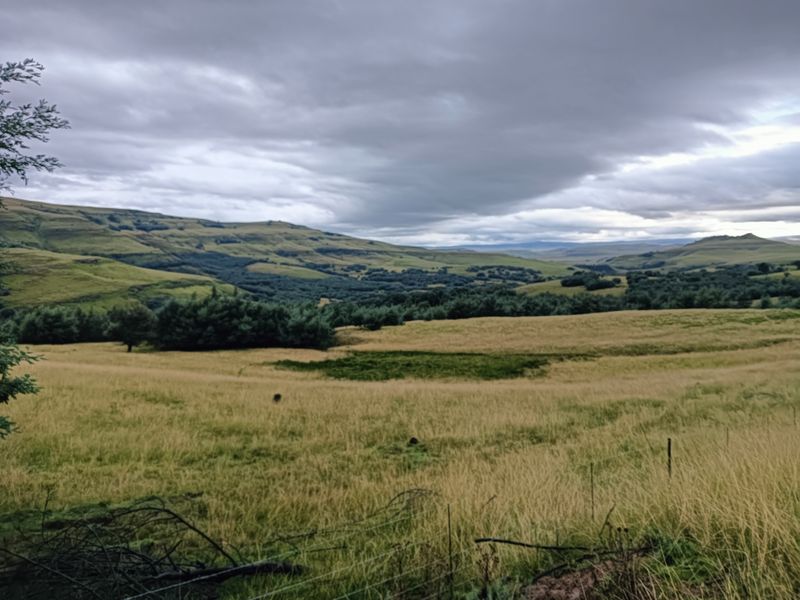 Scenic Otto du Plessis Pass Grassland Farm - Photo 3