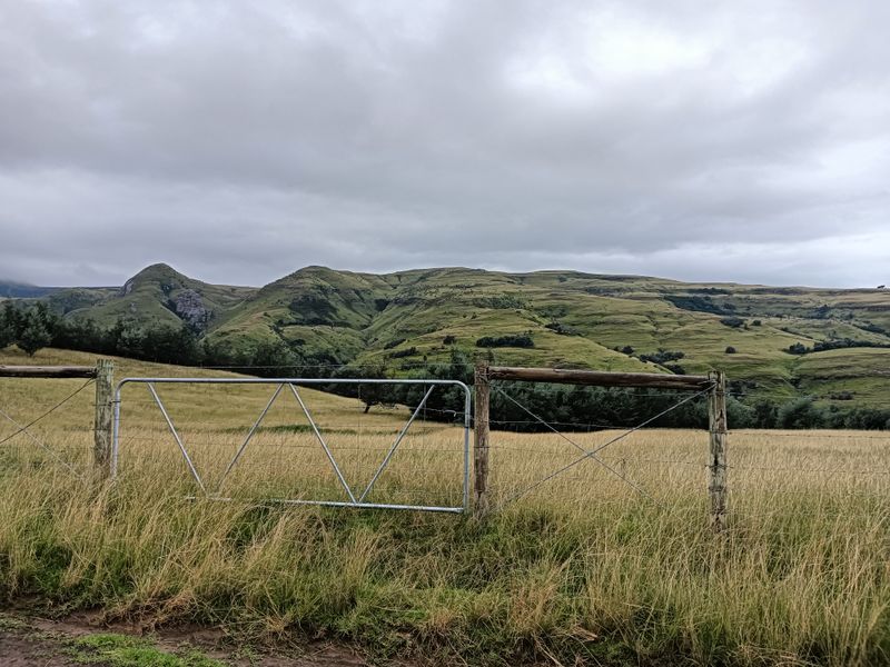 Scenic Otto du Plessis Pass Grassland Farm - Photo 5