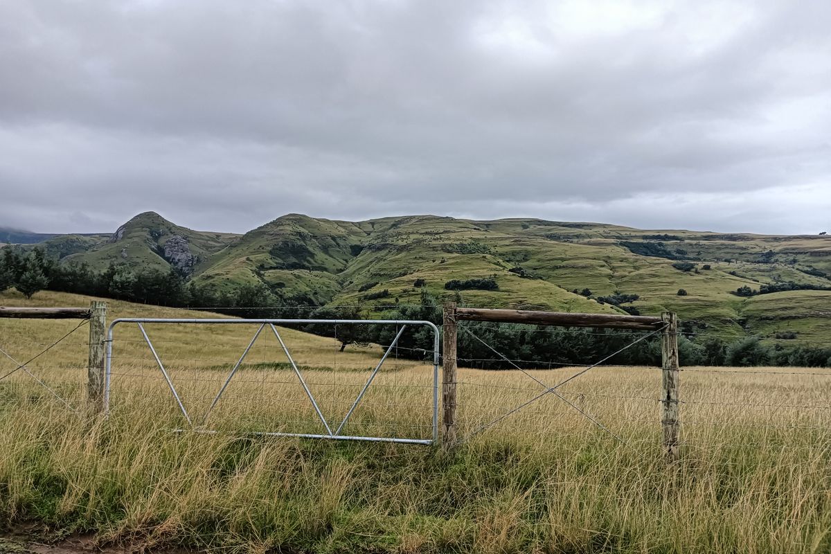 Scenic Otto du Plessis Pass Grassland Farm - Photo 5