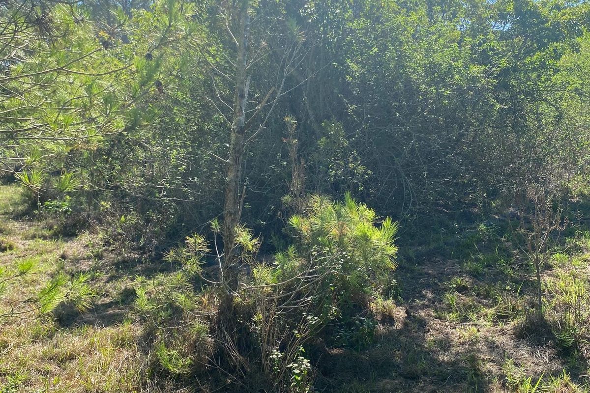 Vacant Stand For sale in Bathurst - Photo 4