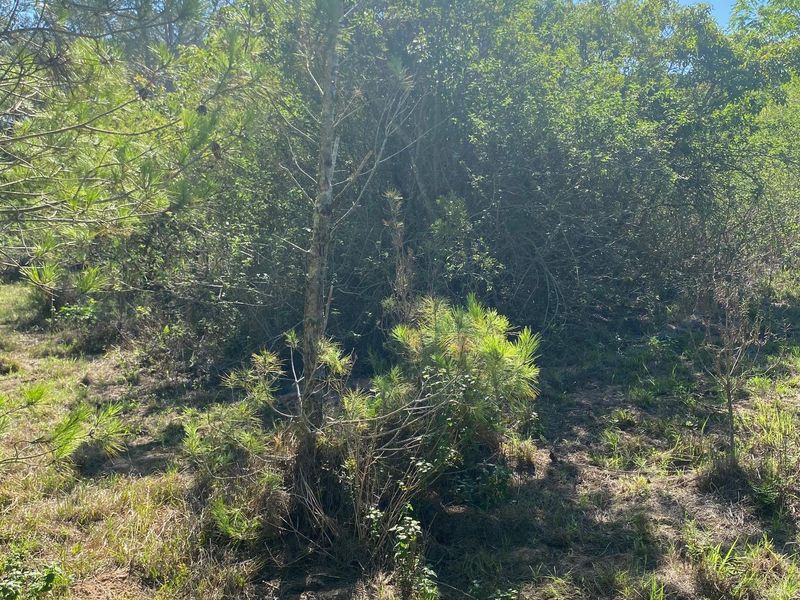 Vacant Stand For sale in Bathurst - Photo 4