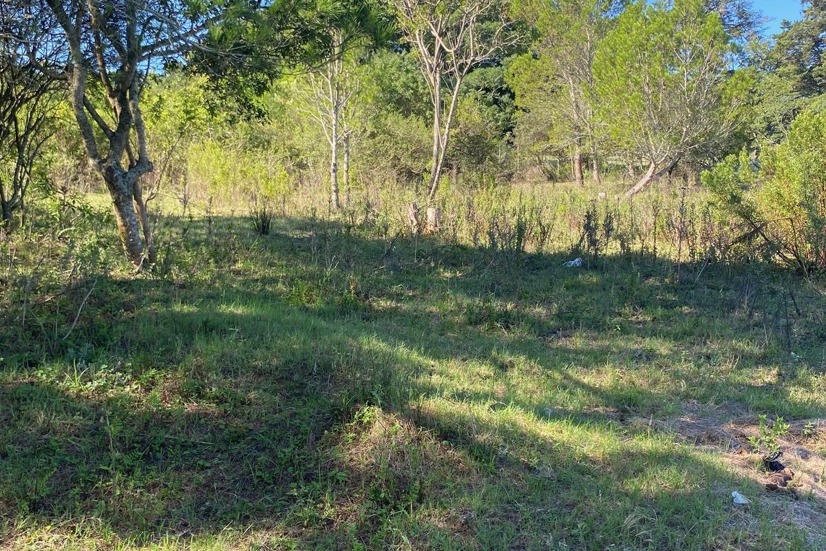 Vacant Stand For sale in Bathurst - Photo 5