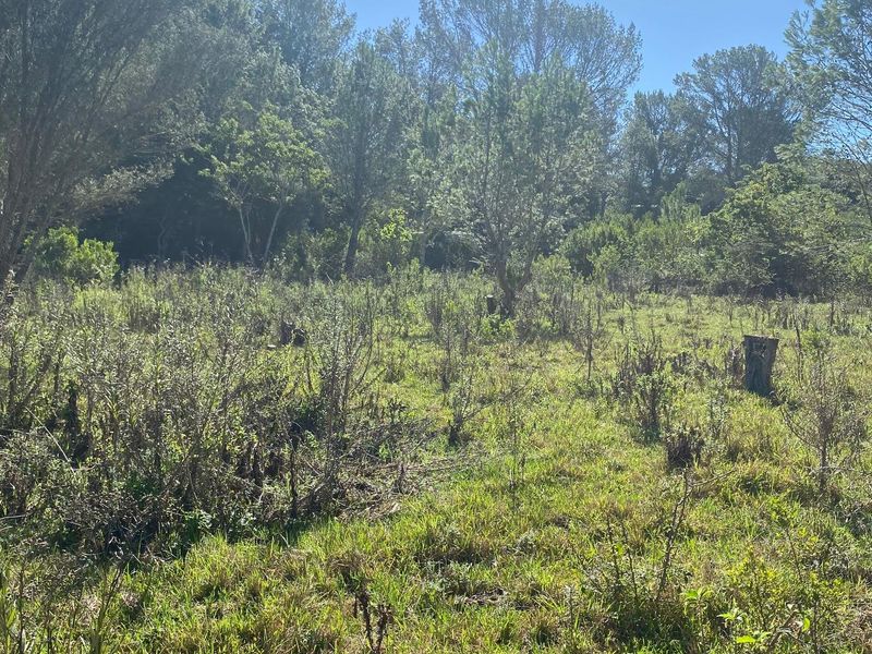 Vacant Stand For sale in Bathurst - Photo 8