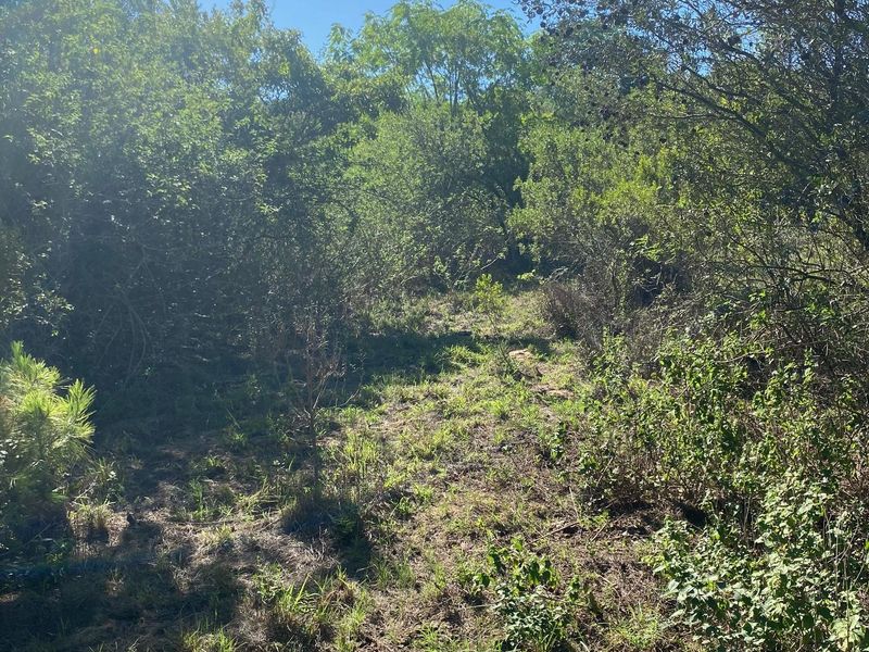 Vacant Stand For sale in Bathurst - Photo 9