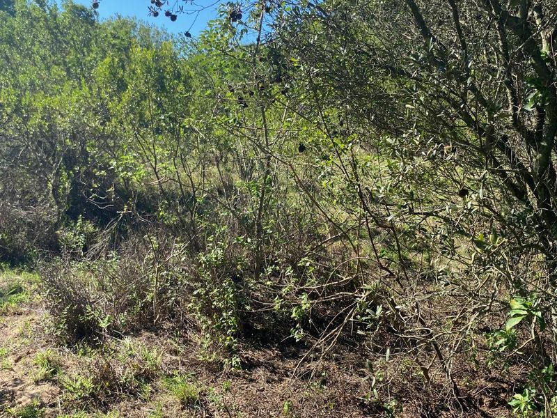 Vacant Stand For sale in Bathurst - Photo 7