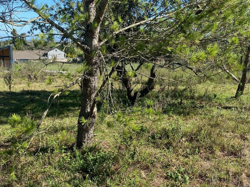 Vacant Stand For sale in Bathurst - Photo 6