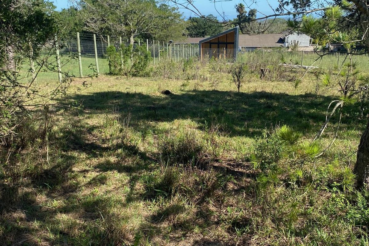 Vacant Stand For sale in Bathurst - Photo 3
