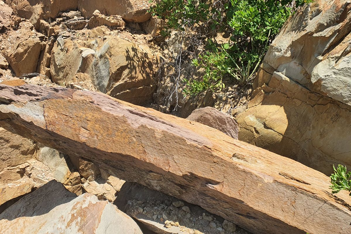 Elevated Coastal Stand with Panoramic Bay Views – De Bakke - Photo 3