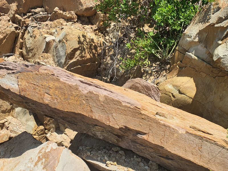 Elevated Coastal Stand with Panoramic Bay Views – De Bakke - Photo 3