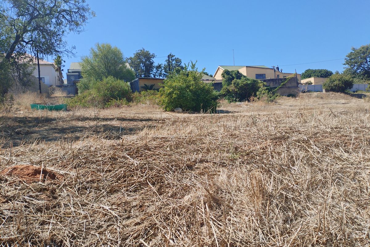 A vacant residential plot featuring dry grass and established perimeter vegetation, offering a clear space for future development.