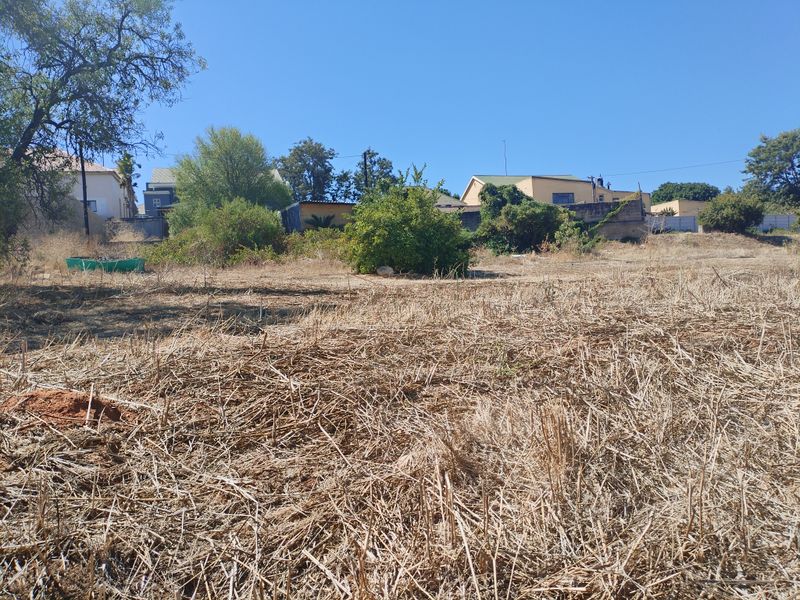 A vacant residential plot featuring dry grass and established perimeter vegetation, offering a clear space for future development.