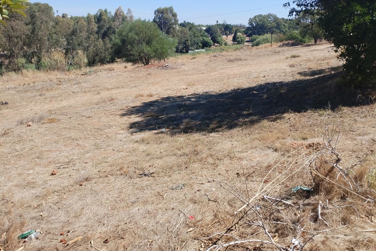 A view of a vacant residential plot featuring dry grass, mature trees, and a gentle slope, offering potential for future development.