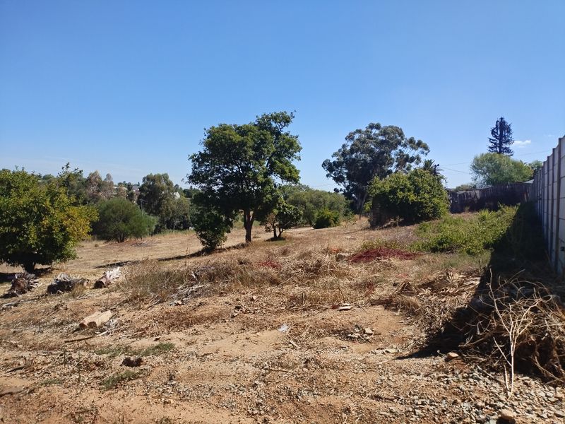 A view of a vacant residential plot featuring mature trees, natural ground cover, and perimeter fencing, offering potential for future development.