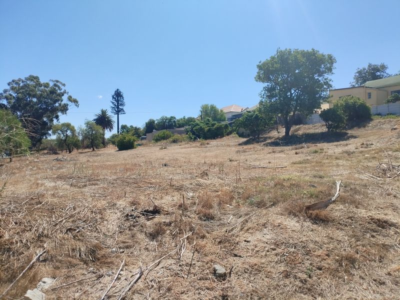 A vacant residential plot featuring natural vegetation, mature trees, and a gentle slope, offering potential for future development.
